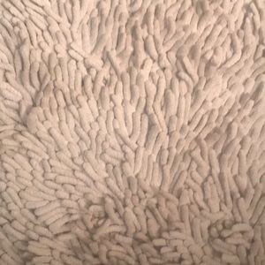 Meet your Posher, Trish